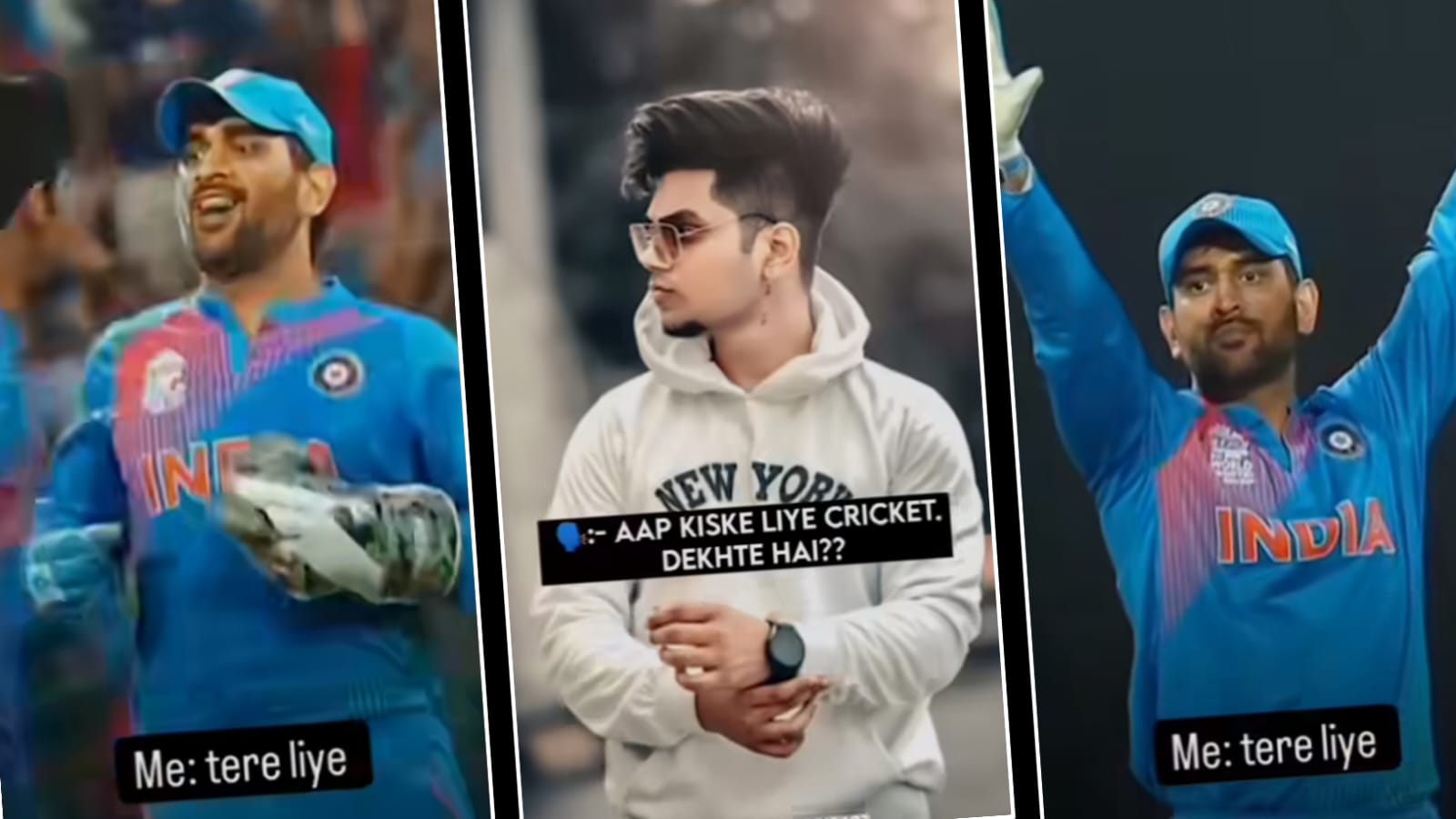 Aap cricket kiske liye dekhte hai vn template 2024