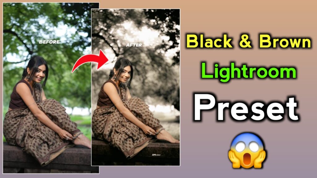 Black and Brown Lightroom Preset