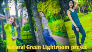 Natural Green Lightroom preset 2024