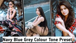 Navy Blue Grey Colour Tone Preset 