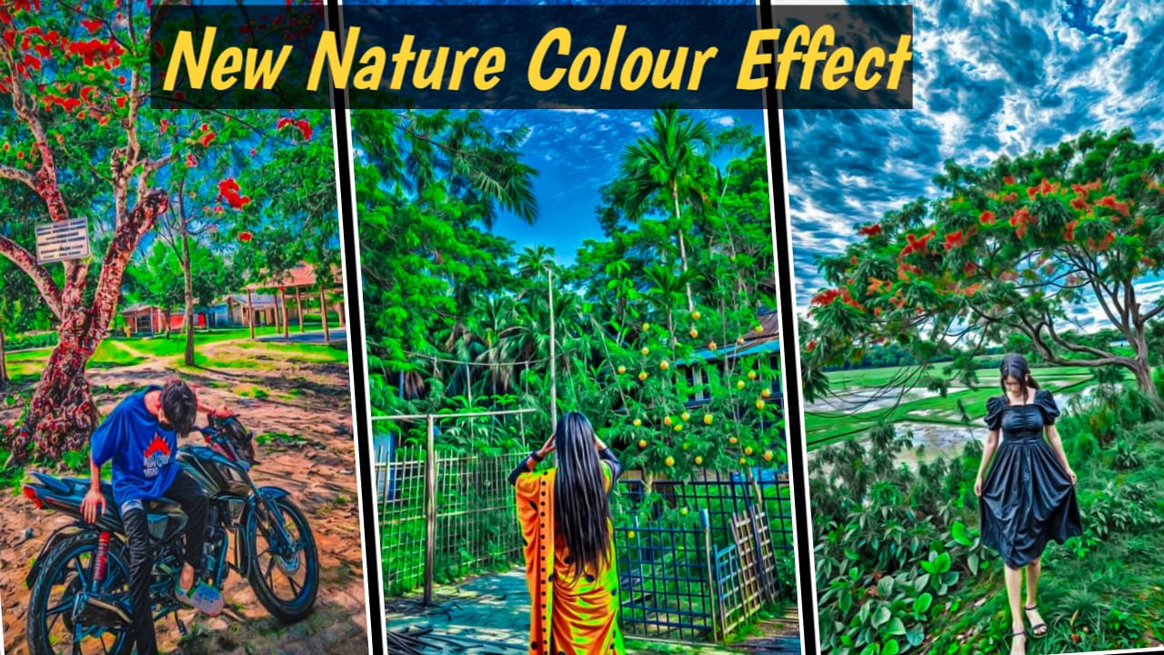 New Nature Colour Effect Lightroom Presets 2024