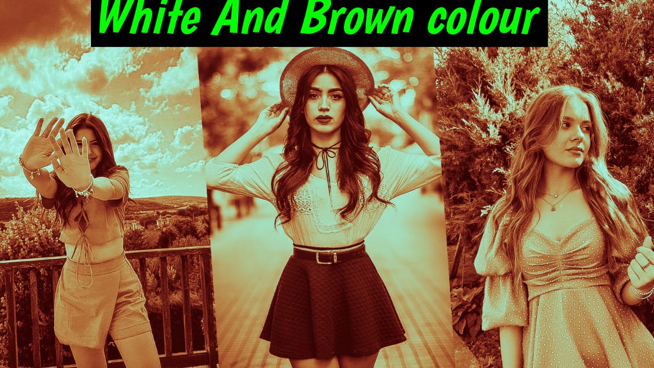 White And Brown Colour Effect Lightroom Preset 2024