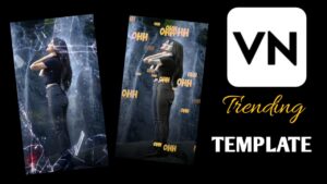 Haal Dil Tumko Song VN Viral Template