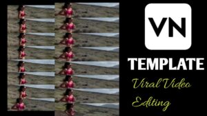 Jiya Lage Na Multiple Layer Vn Template Code