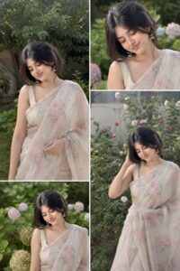 Aesthetic Saree Prompt